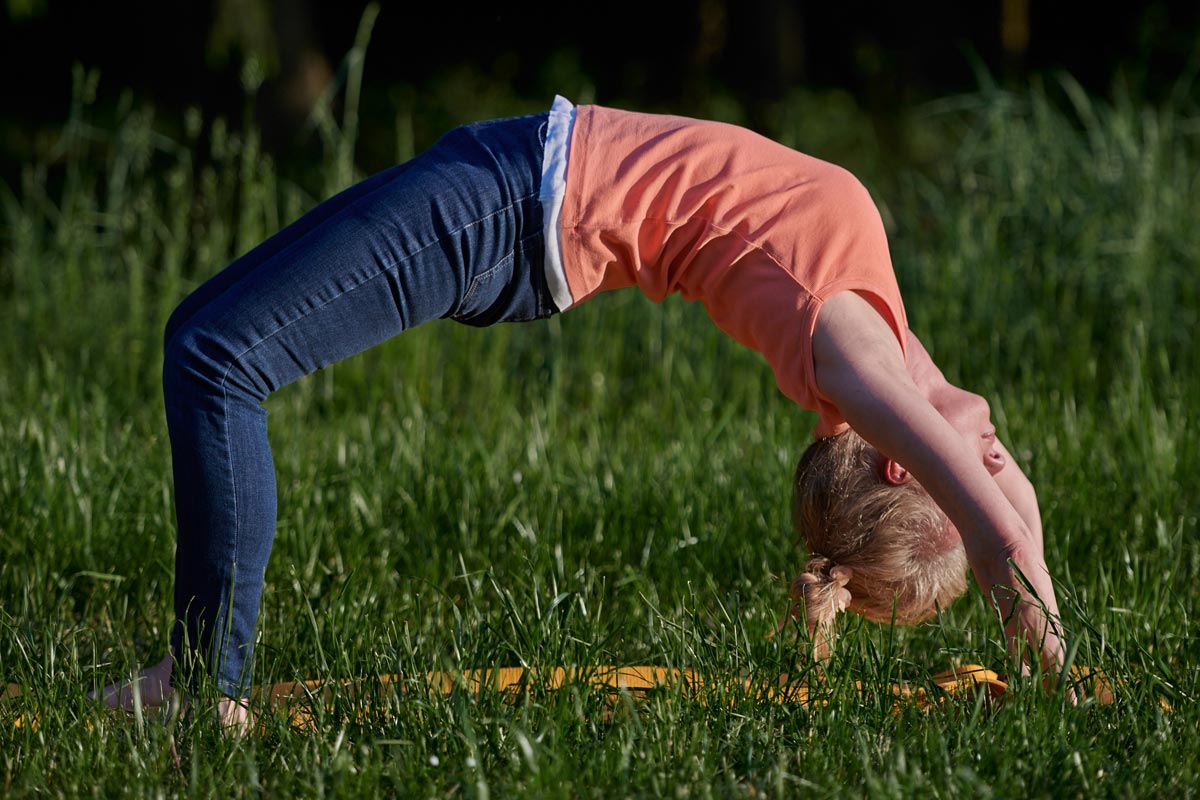 Yoga-Seminare